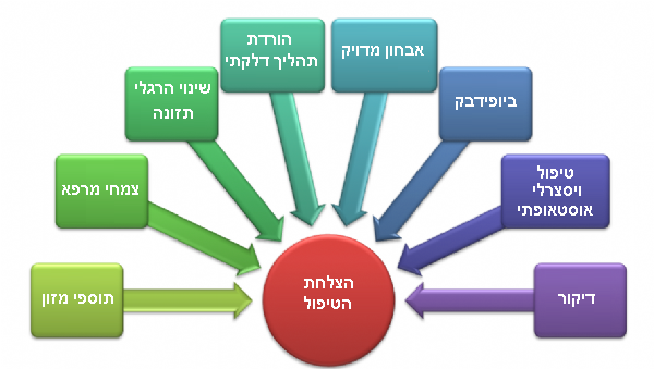 אינה בקר - מרכיבי הטיפול המשולב במערכת עיכול